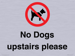 No Dogs upstairs please 